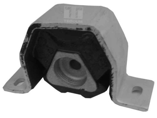 Obrázok Ulożenie motora TEDGUM  00212975
