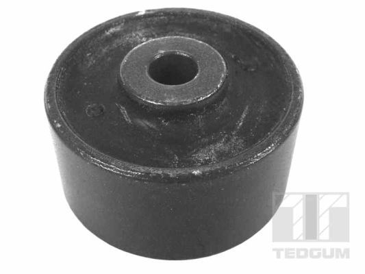 Obrázok Ulożenie motora TEDGUM  00214375