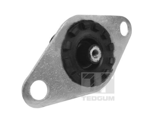 Obrázok Ulożenie motora TEDGUM  00215024