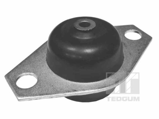 Obrázok Ulożenie motora TEDGUM  00215059