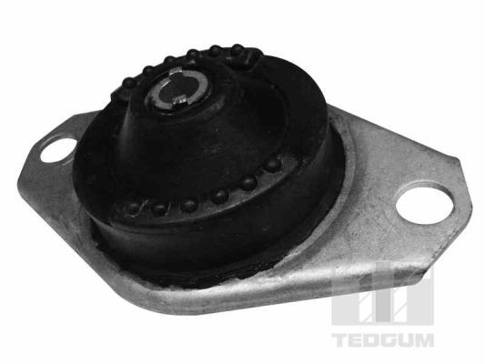 Obrázok Ulożenie motora TEDGUM  00215723