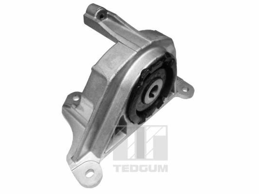 Obrázok Ulożenie motora TEDGUM  00215780