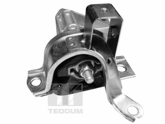 Obrázok Ulożenie motora TEDGUM  00215781