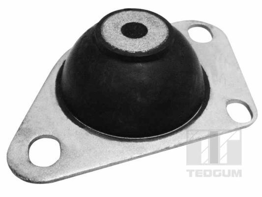 Obrázok Ulożenie motora TEDGUM  00216214