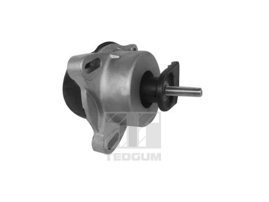 Obrázok Ulożenie motora TEDGUM  00228943