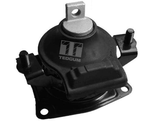 Obrázok Ulożenie motora TEDGUM  00263076