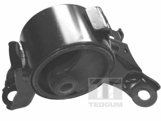 Obrázok Ulożenie motora TEDGUM  00264829