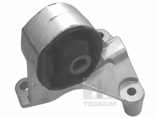 Obrázok Ulożenie motora TEDGUM  00264833