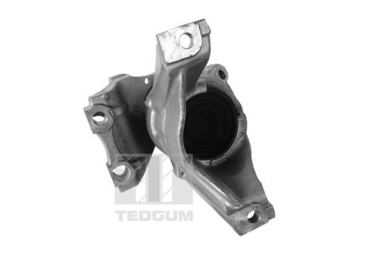 Obrázok Ulożenie motora TEDGUM  00269182