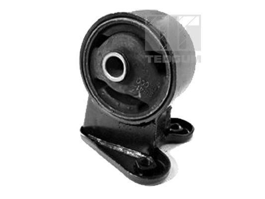 Obrázok Ulożenie motora TEDGUM  00280454