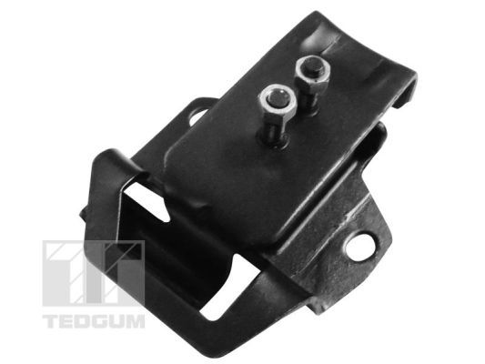 Obrázok Ulożenie motora TEDGUM  00300649