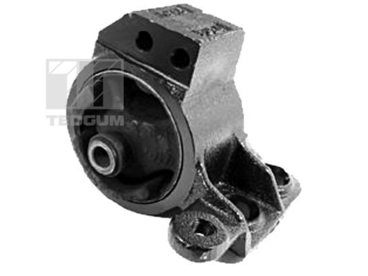 Obrázok Ulożenie motora TEDGUM  00340491