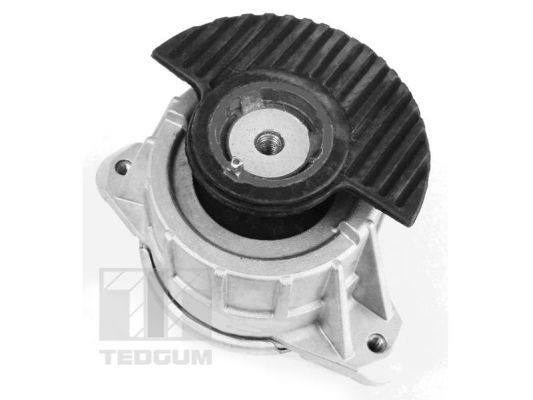 Obrázok Ulożenie motora TEDGUM  00418476