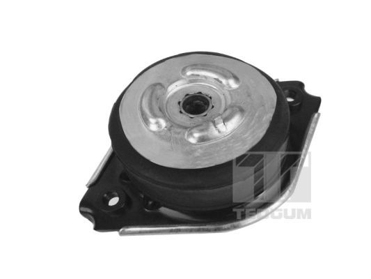 Obrázok Ulożenie motora TEDGUM  00418536