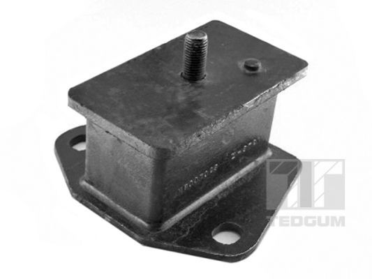 Obrázok Ulożenie motora TEDGUM  00441699