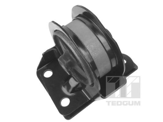Obrázok Ulożenie motora TEDGUM  00447218