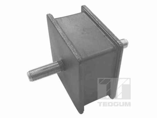 Obrázok Ulożenie motora TEDGUM  00465023