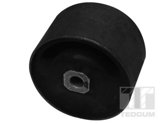 Obrázok Ulożenie motora TEDGUM  00465454
