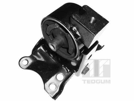 Obrázok Ulożenie motora TEDGUM  00466350
