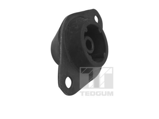 Obrázok Ulożenie motora TEDGUM  00586236