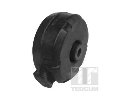 Obrázok Ulożenie motora TEDGUM  00588804