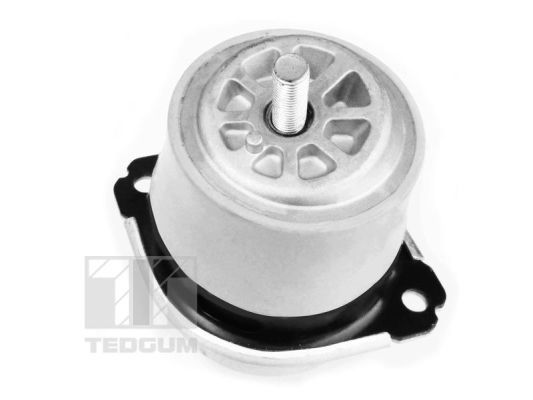 Obrázok Ulożenie motora TEDGUM  00728486
