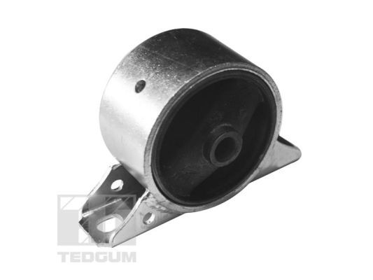 Obrázok Ulożenie motora TEDGUM  00747139