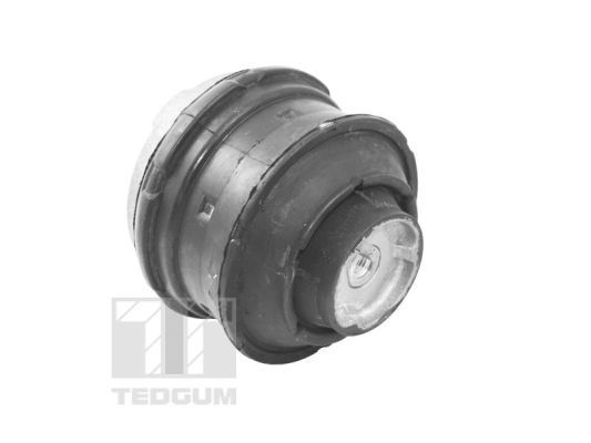 Obrázok Ulożenie motora TEDGUM  TED81021