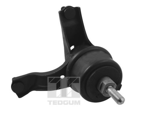 Obrázok Ulożenie motora TEDGUM  TED94424