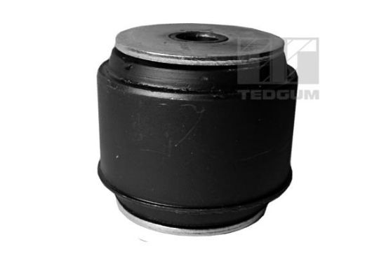 Obrázok Ulożenie tela nápravy TEDGUM  00020142