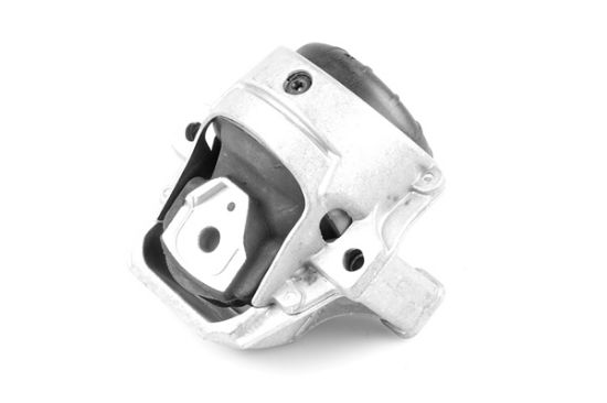 Obrázok Ulożenie motora TEDGUM  00058470