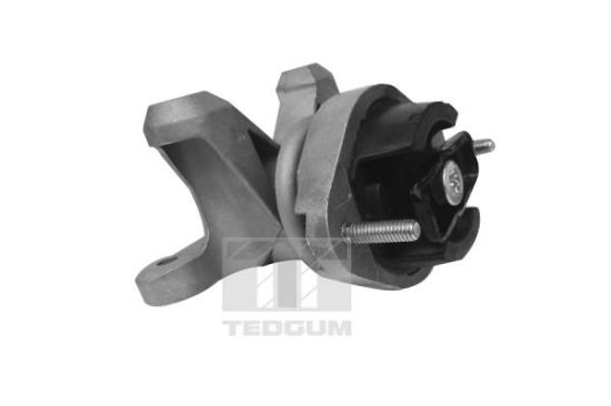 Obrázok Ulożenie motora TEDGUM  00058910