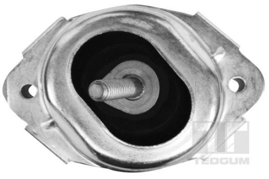 Obrázok Ulożenie motora TEDGUM  00088550