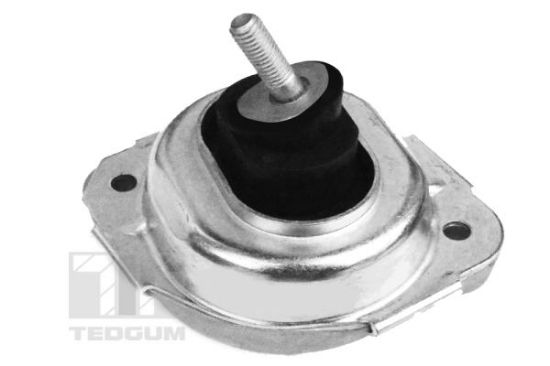 Obrázok Ulożenie motora TEDGUM  00088550