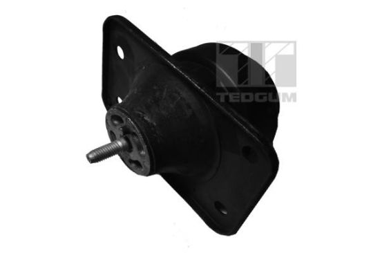 Obrázok Ulożenie motora TEDGUM  00167968