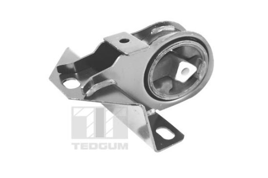 Obrázok Ulożenie motora TEDGUM  00190522
