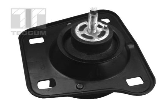 Obrázok Ulożenie motora TEDGUM  00221061