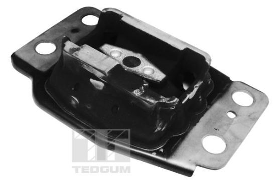 Obrázok Ulożenie motora TEDGUM  00225660