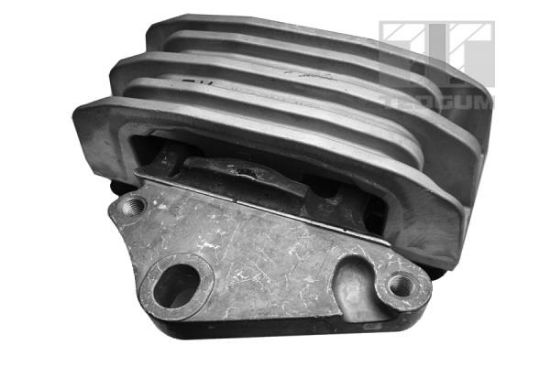 Obrázok Ulożenie motora TEDGUM  00226890