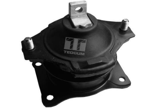 Obrázok Ulożenie motora TEDGUM  00260933