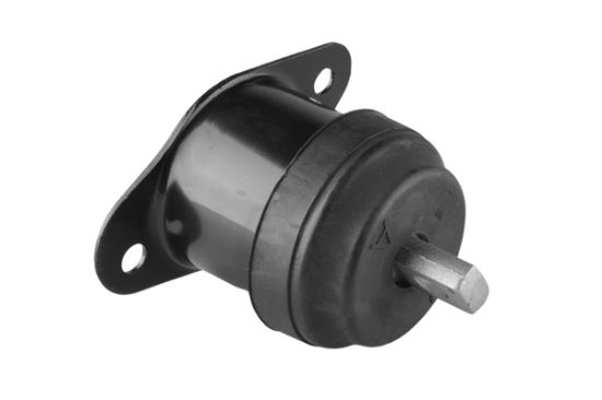 Obrázok Ulożenie motora TEDGUM  00260934