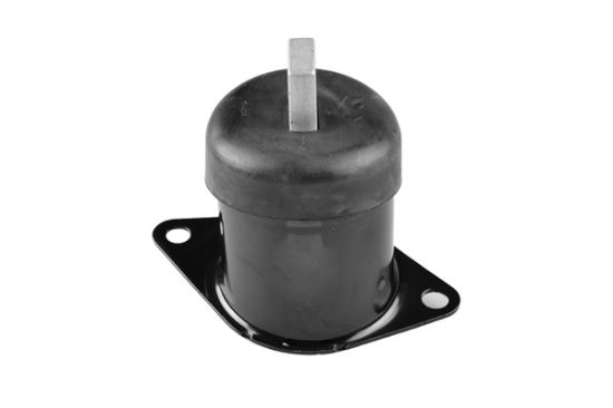 Obrázok Ulożenie motora TEDGUM  00263592