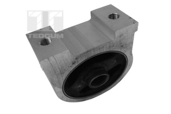 Obrázok Ulożenie motora TEDGUM  00282049