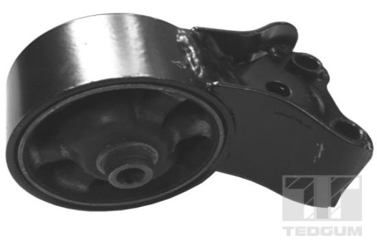Obrázok Ulożenie motora TEDGUM  00282084
