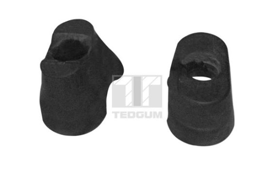 Obrázok Ulożenie motora TEDGUM  00349792