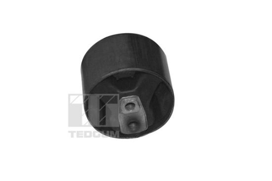 Obrázok Ulożenie motora TEDGUM  00349814