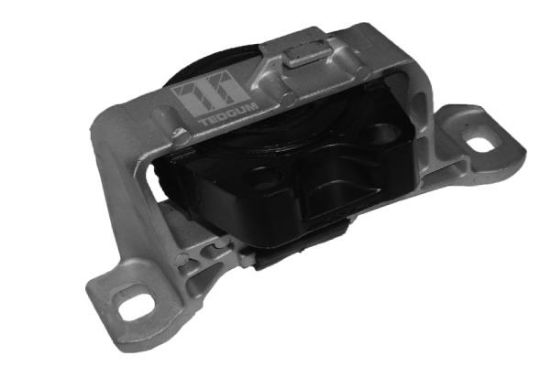 Obrázok Ulożenie motora TEDGUM  00390514