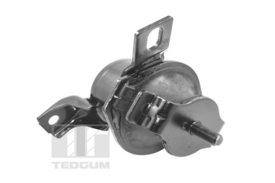Obrázok Ulożenie motora TEDGUM  00441120