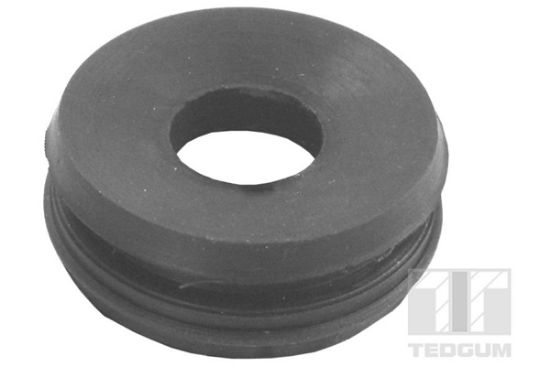 Obrázok Ulożenie nosníka automatickej prevodovky TEDGUM  00443698