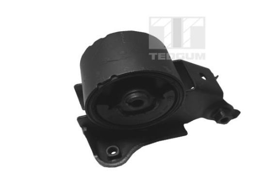 Obrázok Ulożenie motora TEDGUM  00461052